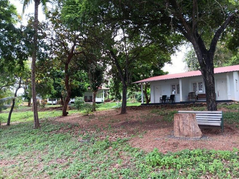 Aligama Cottage Talakolawela Buitenkant foto