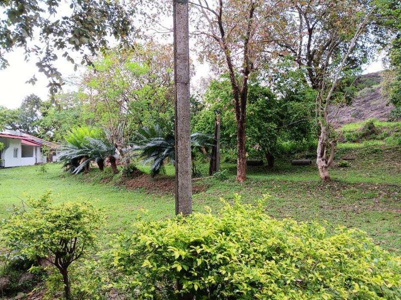 Aligama Cottage Talakolawela Buitenkant foto
