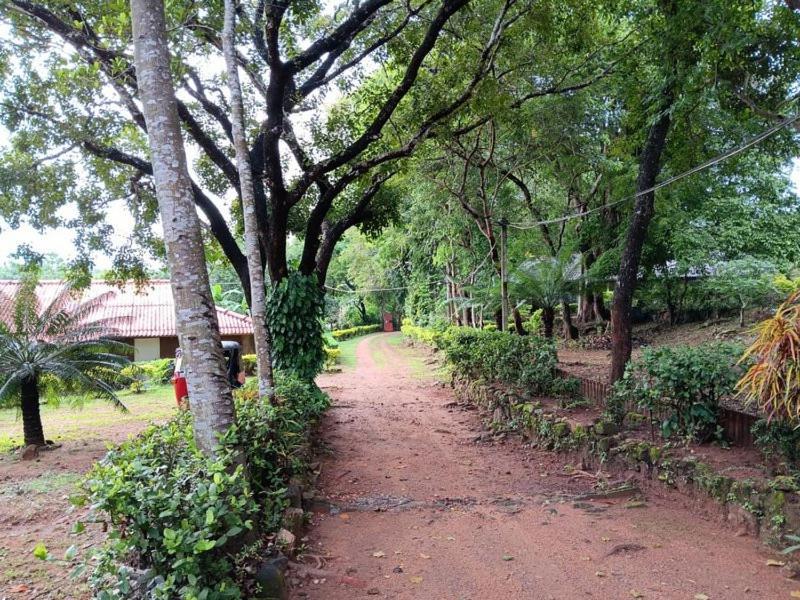 Aligama Cottage Talakolawela Buitenkant foto